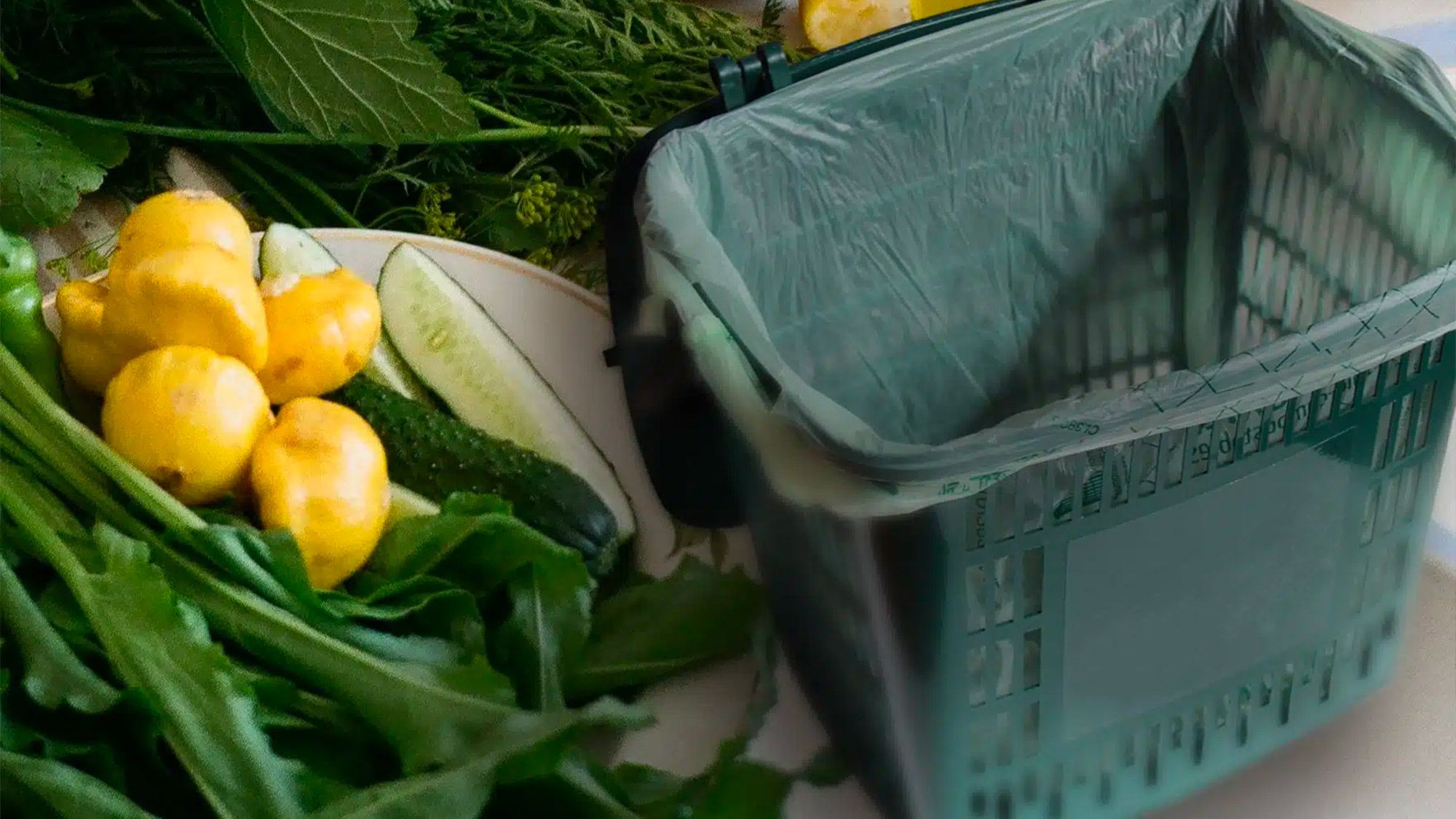 sac en amidon biodégradable